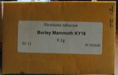 Burley Mammoth KY16 Packet.JPG