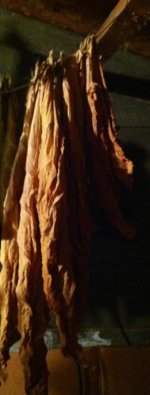 photo 3.jpg