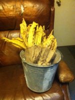 photo 2.jpg
