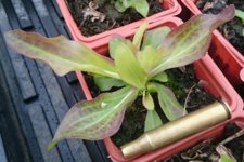 IMG_20150602_072221.jpg IMG_20150602_072221.jpg