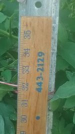 IMG_20160612_181506052.jpg