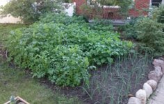 _20160629_193605.jpg