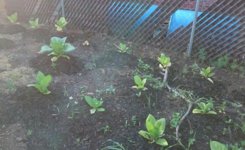 _20160629_193328.jpg