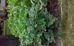 20160702_114257.jpg