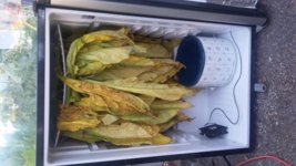 20160903_101452.jpg 20160903_101452.jpg