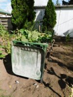 Tobacco Seedlings 10-01-17 205.jpg