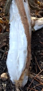 IMG_20171012_111417017_HDR~2.jpg