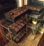 IMG_20180310_013041838~2.jpg