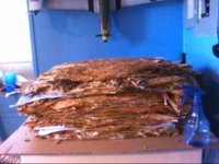 2012 pile_0001.jpg