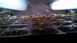 2013-03-17_20-23-07_750.jpg