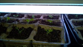 2013-03-23_10-17-41_110.jpg