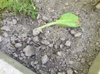 image.jpeg image.jpeg