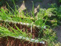 20200808_085318.jpg