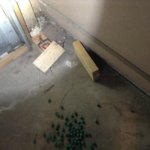 image.jpeg image.jpeg