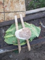 20200810_205815.jpg