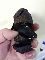 20201009_205602.jpg