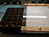bonner-seeding-idea-1.JPG