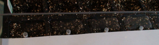 close-up-seeding-jig.JPG