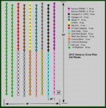 Grow Plan 2013.jpg
