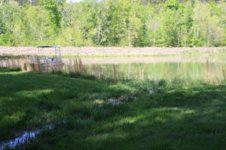 spring to pond.jpg
