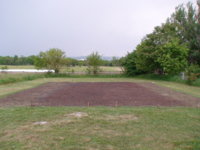 patch-mulch.JPG patch-mulch.JPG