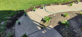IMG_20210606_162753.jpg
