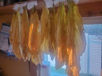 20210903_190730.jpg