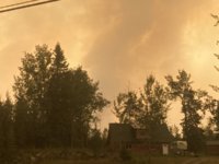 51BC5E0C-28B4-43A6-8B13-CC474C26C27A.jpeg 51BC5E0C-28B4-43A6-8B13-CC474C26C27A.jpeg