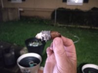 cigar_20220607_230134105.jpg