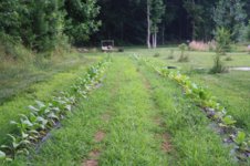 main plot.jpg main plot.jpg