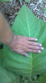 2013-06-30_10-29-16_344.jpg