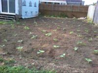 6-2-2013_0001.jpg