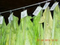 DSCN3090.jpg