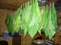 DSCN3081.jpg