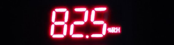 IMG_20230218_134351_HDR~2.jpg IMG_20230218_134351_HDR~2.jpg