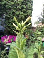 IMG_5777.jpeg IMG_5777.jpeg