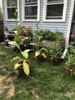 IMG_5812.jpeg IMG_5812.jpeg