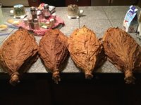 IMG_1049.jpeg