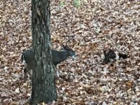 IMG_1065.jpeg