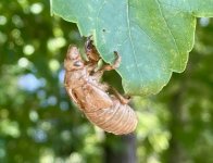 IMG_4736.jpeg IMG_4736.jpeg