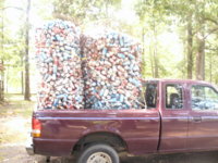 How many cans fit in a Ford Ranger 003.JPG
