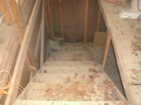 cleaning the big shed 003.JPG