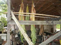 hanging shed 006.JPG