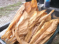 TOBACCO 002.JPG