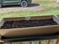 IMG_1258.jpeg