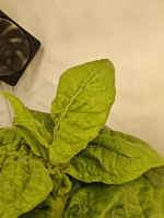 1759761745841.png 1759761745841.png