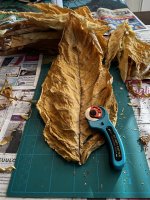Preparing flue cured to storage Preparing flue cured to storage