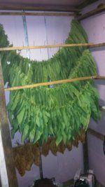 IMG_20131022_213028_235.jpg