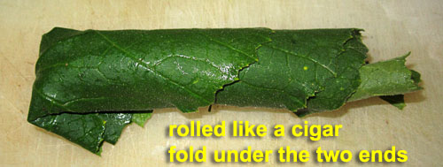 Garden20230702_7076_stuffedSquashLeaf_rolled_500.jpg