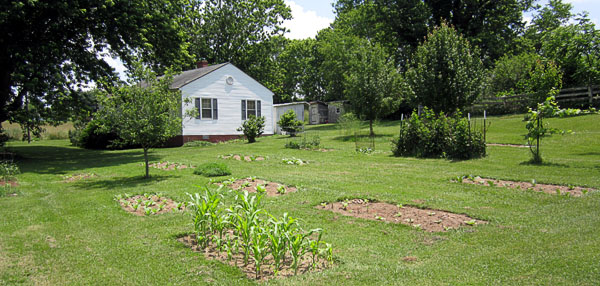 Garden20170611_2700_entireGarden_600.jpg